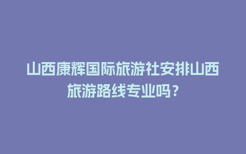 山西康辉国际旅游社安排山西旅游路线专业吗？