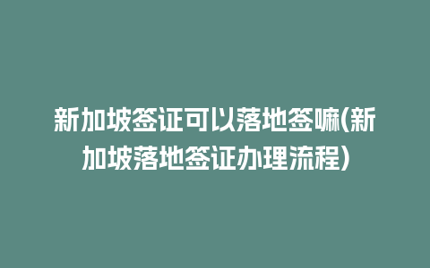 新加坡签证可以落地签嘛(新加坡落地签证办理流程)