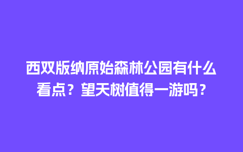 西双版纳原始森林公园有什么看点？望天树值得一游吗？