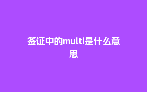 签证中的multi是什么意思