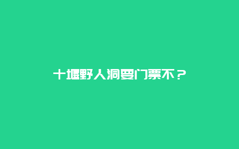 十堰野人洞要门票不？