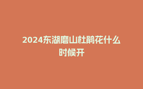 2024东湖磨山杜鹃花什么时候开