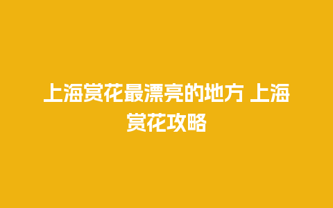 上海赏花最漂亮的地方 上海赏花攻略