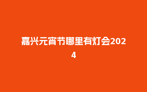 嘉兴元宵节哪里有灯会2024