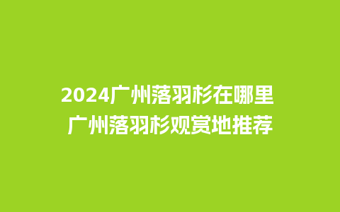 2024广州落羽杉在哪里 广州落羽杉观赏地推荐