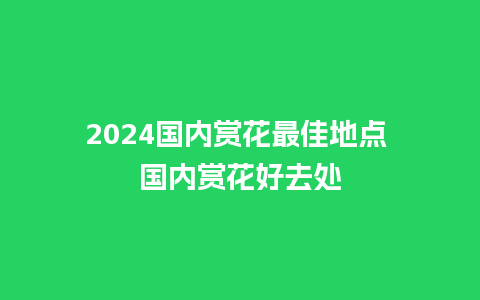 2024国内赏花最佳地点 国内赏花好去处