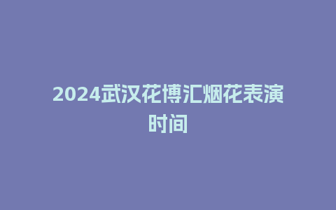 2024武汉花博汇烟花表演时间