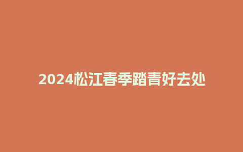 2024松江春季踏青好去处