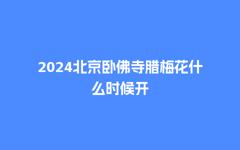 2024北京卧佛寺腊梅花什么时候开