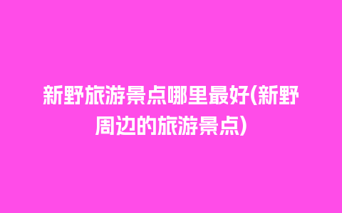 新野旅游景点哪里最好(新野周边的旅游景点)