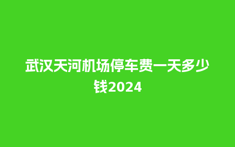 武汉天河机场停车费一天多少钱2024