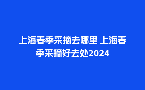 上海春季采摘去哪里 上海春季采摘好去处2024