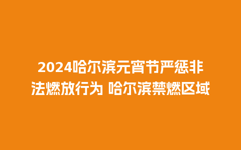 2024哈尔滨元宵节严惩非法燃放行为 哈尔滨禁燃区域