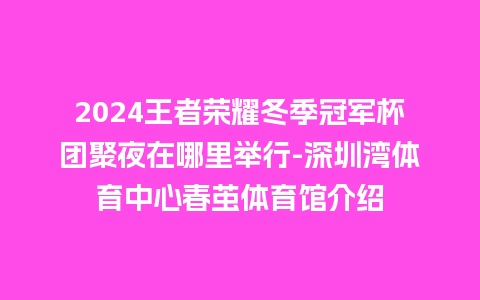 2024王者荣耀冬季冠军杯团聚夜在哪里举行-深圳湾体育中心春茧体育馆介绍