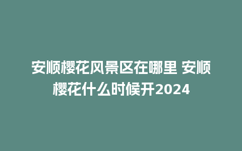 安顺樱花风景区在哪里 安顺樱花什么时候开2024