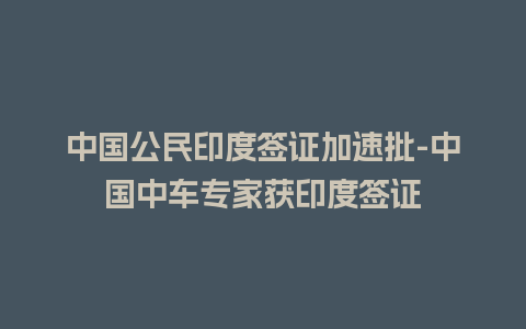 中国公民印度签证加速批-中国中车专家获印度签证