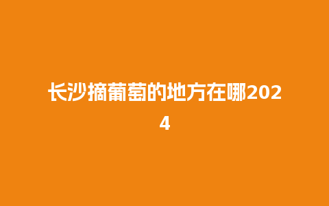 长沙摘葡萄的地方在哪2024