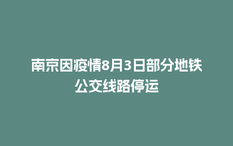 南京因疫情8月3日部分地铁公交线路停运