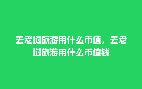 去老挝旅游用什么币值，去老挝旅游用什么币值钱