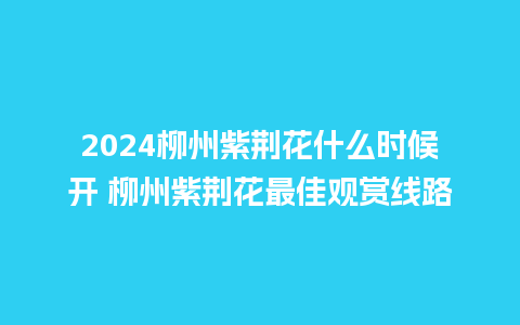 2024柳州紫荆花什么时候开 柳州紫荆花最佳观赏线路