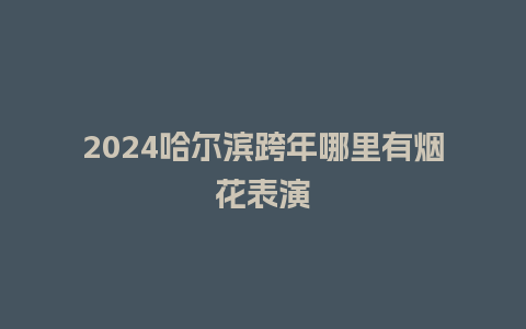 2024哈尔滨跨年哪里有烟花表演