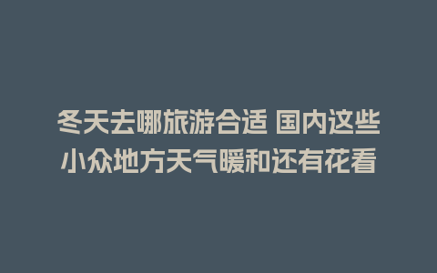 冬天去哪旅游合适 国内这些小众地方天气暖和还有花看