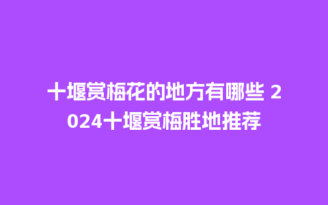 十堰赏梅花的地方有哪些 2024十堰赏梅胜地推荐