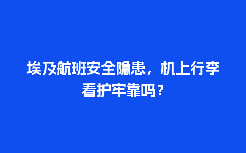 埃及航班安全隐患，机上行李看护牢靠吗？