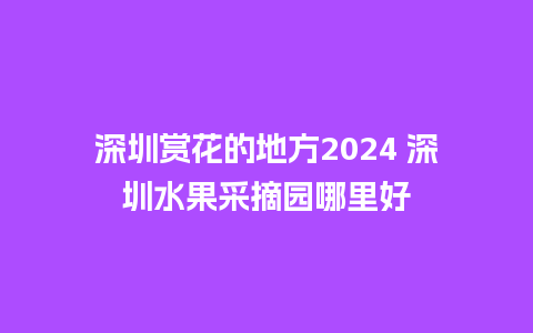 深圳赏花的地方2024 深圳水果采摘园哪里好