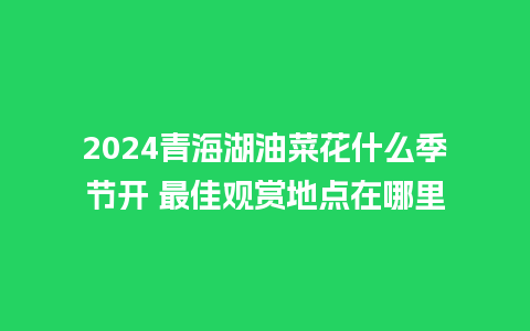 2024青海湖油菜花什么季节开 最佳观赏地点在哪里