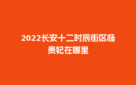 2022长安十二时辰街区杨贵妃在哪里