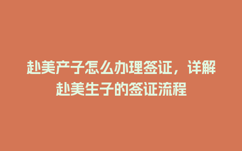 赴美产子怎么办理签证，详解赴美生子的签证流程