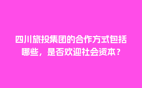 四川旅投集团的合作方式包括哪些，是否欢迎社会资本？