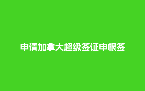 申请加拿大超级签证申根签