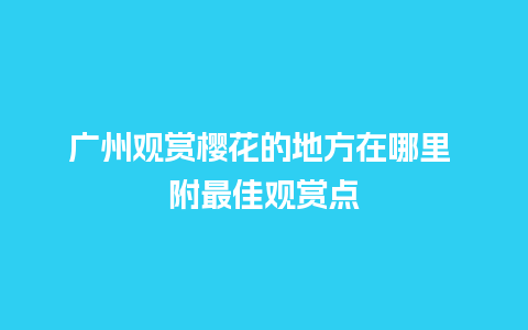 广州观赏樱花的地方在哪里 附最佳观赏点