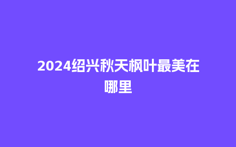 2024绍兴秋天枫叶最美在哪里