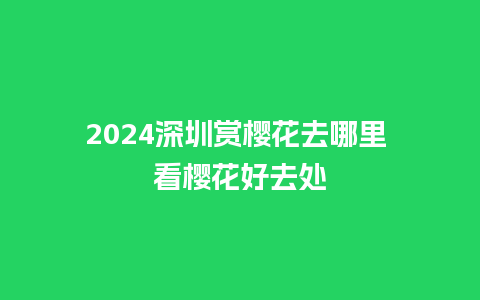 2024深圳赏樱花去哪里 看樱花好去处