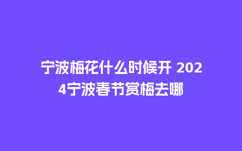 宁波梅花什么时候开 2024宁波春节赏梅去哪