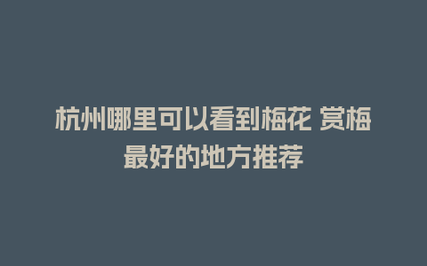 杭州哪里可以看到梅花 赏梅最好的地方推荐