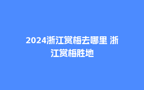 2024浙江赏梅去哪里 浙江赏梅胜地