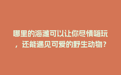 哪里的海滩可以让你尽情嗨玩，还能遇见可爱的野生动物？