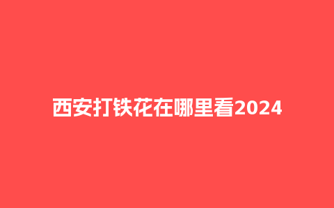 西安打铁花在哪里看2024