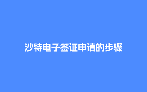 沙特电子签证申请的步骤