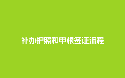 补办护照和申根签证流程