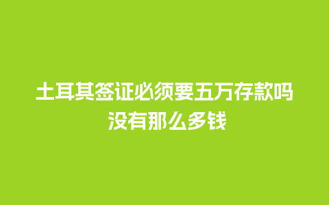 土耳其签证必须要五万存款吗 没有那么多钱