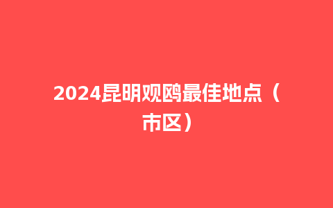 2024昆明观鸥最佳地点（市区）