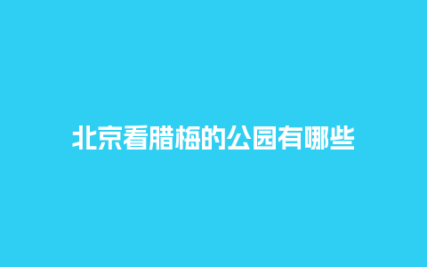 北京看腊梅的公园有哪些