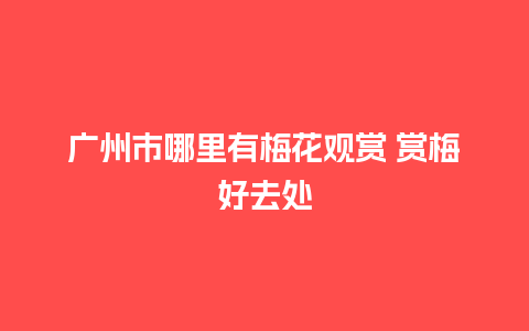 广州市哪里有梅花观赏 赏梅好去处