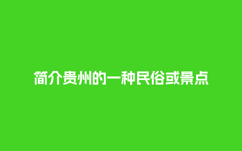 简介贵州的一种民俗或景点