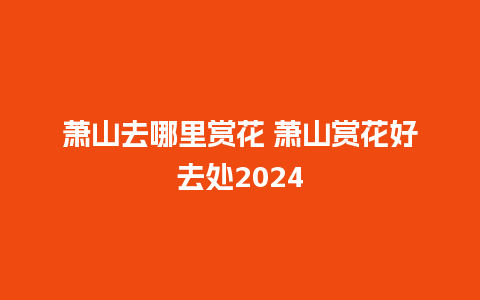 萧山去哪里赏花 萧山赏花好去处2024